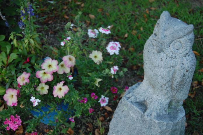 Wisdom stands sentinel