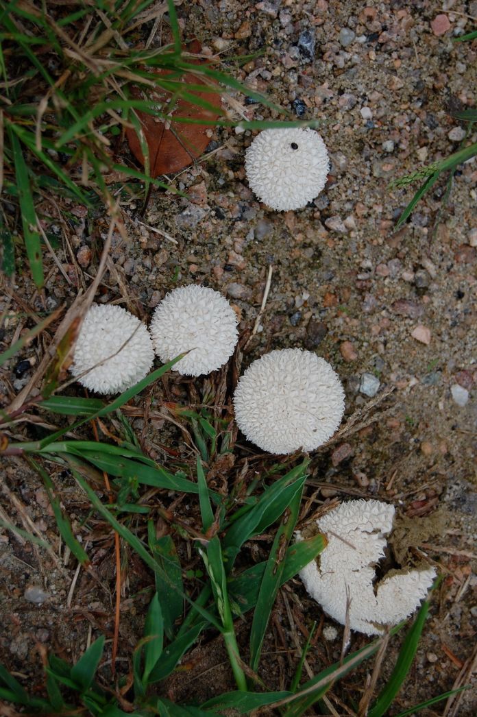 Scenes from September 1