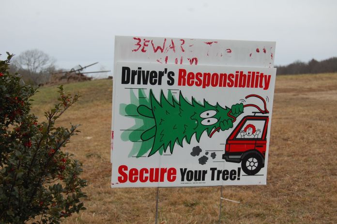 photo by Jennifer Basile