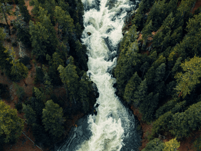 To those of us in middle age